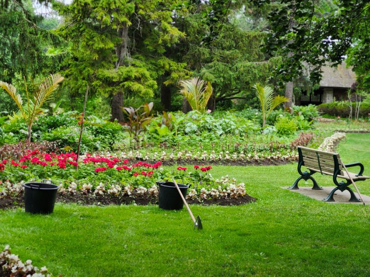 Trabajo terminado: Rescate de un jardín abandonado